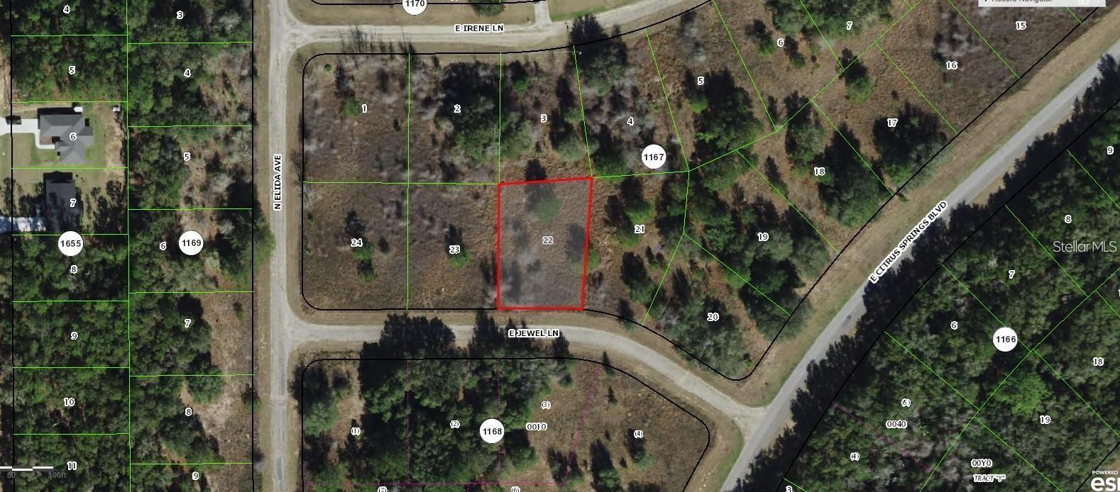 Photo of 599 E JEWEL LANE DUNNELLON FL 34434