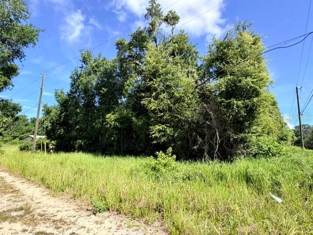 Photo of NE 249TH COURT SALT SPRINGS FL 32134