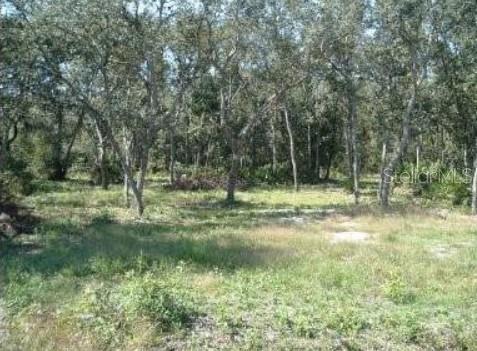 Photo of 413 NE 808TH STREET OLD TOWN FL 32680