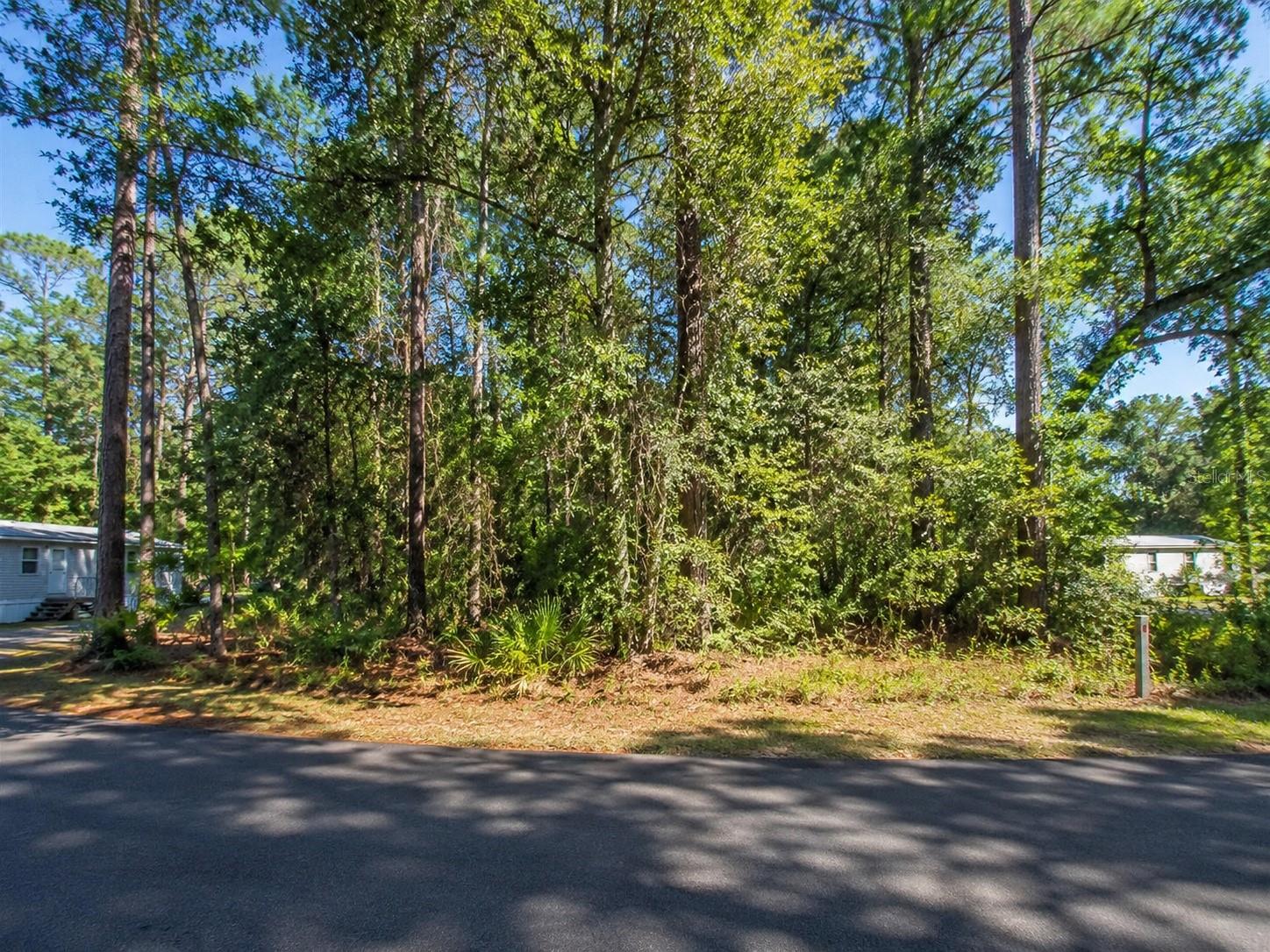 Photo of GEORGIA STREET PAISLEY FL 32767