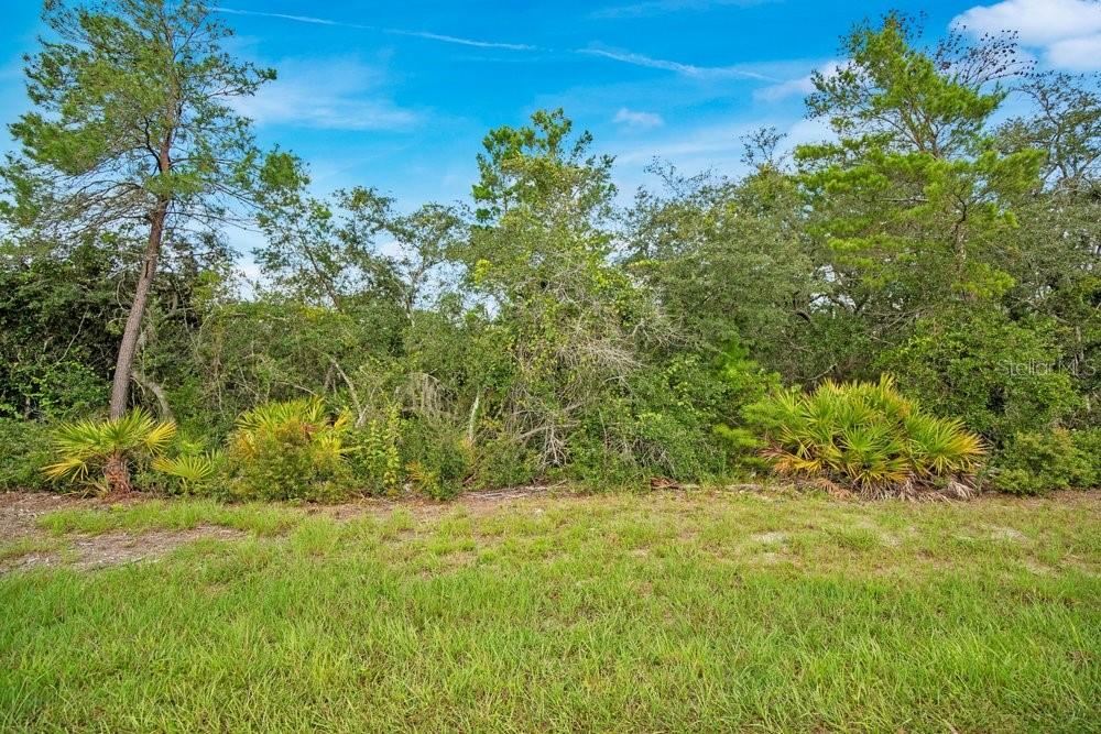 Photo of GEORGIA STREET PAISLEY FL 32767