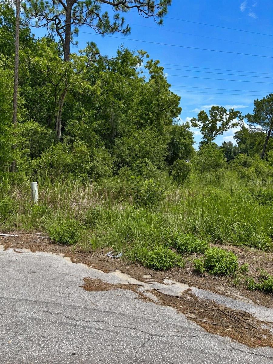Photo of WATER TRACK LOT 08 OCALA FL 34477