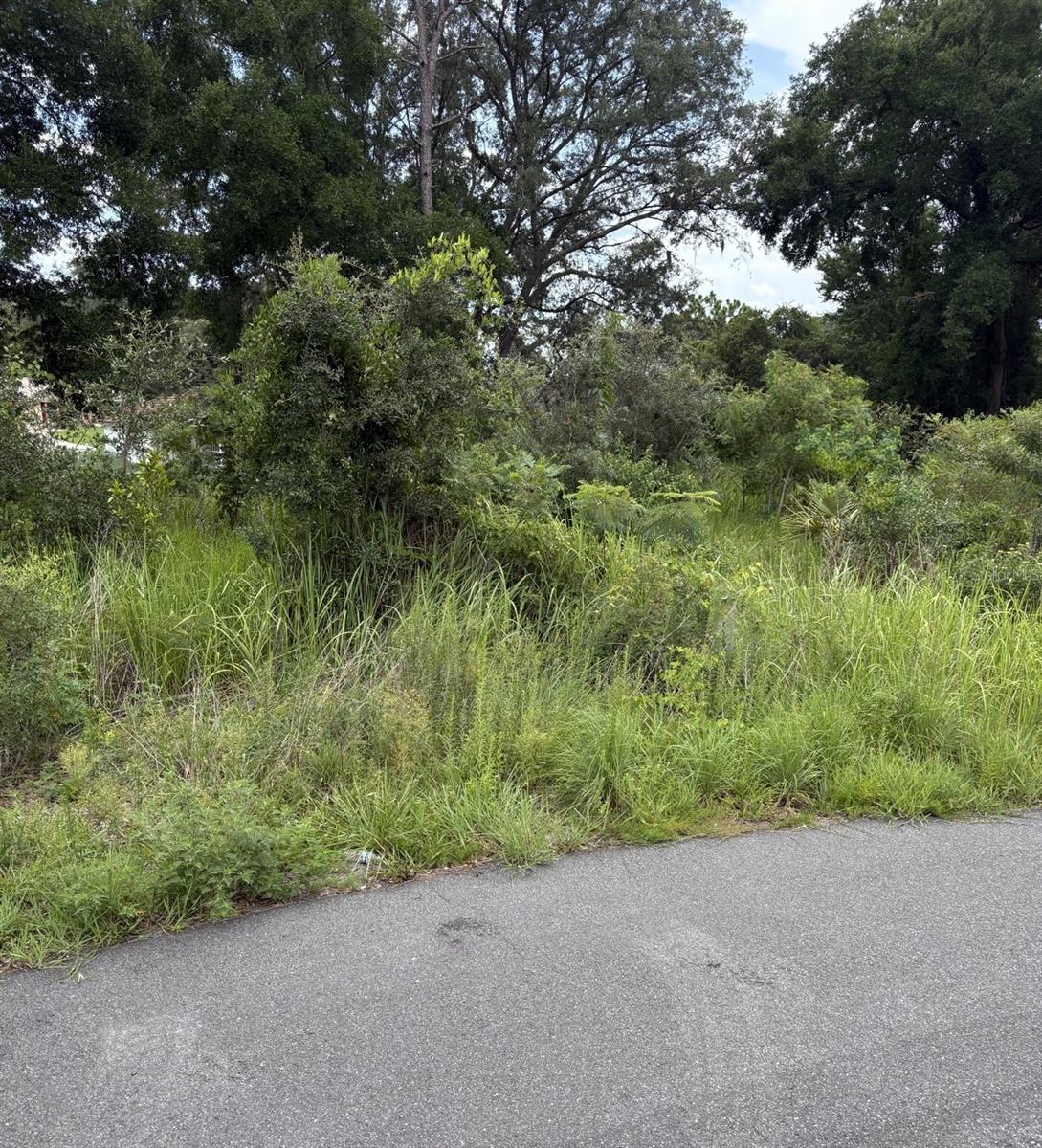 Photo of OAK PASS RUN #Lot 10 OCALA FL 34477