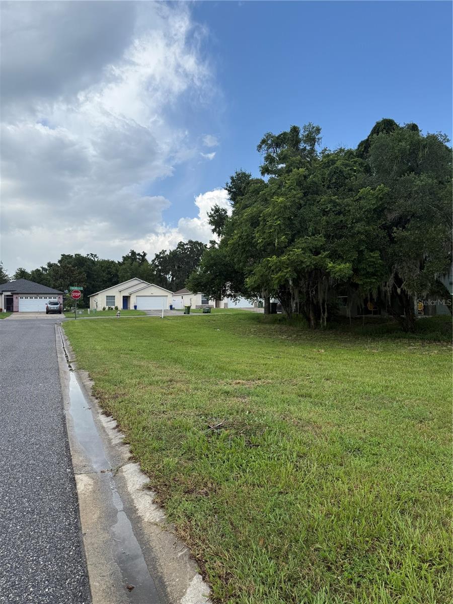 Photo of MAGNOLIA STREET LEESBURG FL 34748