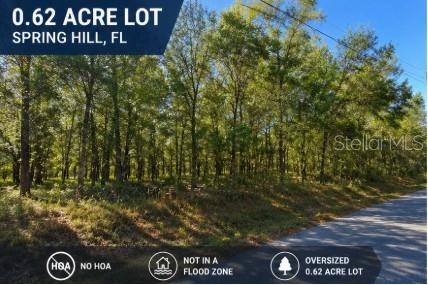 Photo of 15130 SPOKANE ROAD SPRING HILL FL 34610