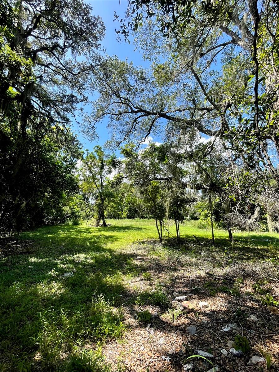 Photo of 194 E 11TH STREET APOPKA FL 32703