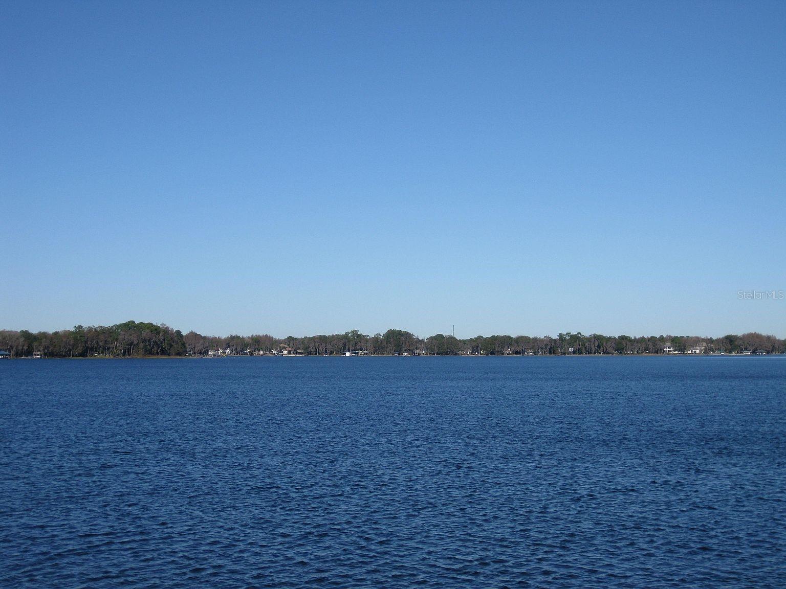 Photo of 18618 WAYNE ROAD ODESSA FL 33556