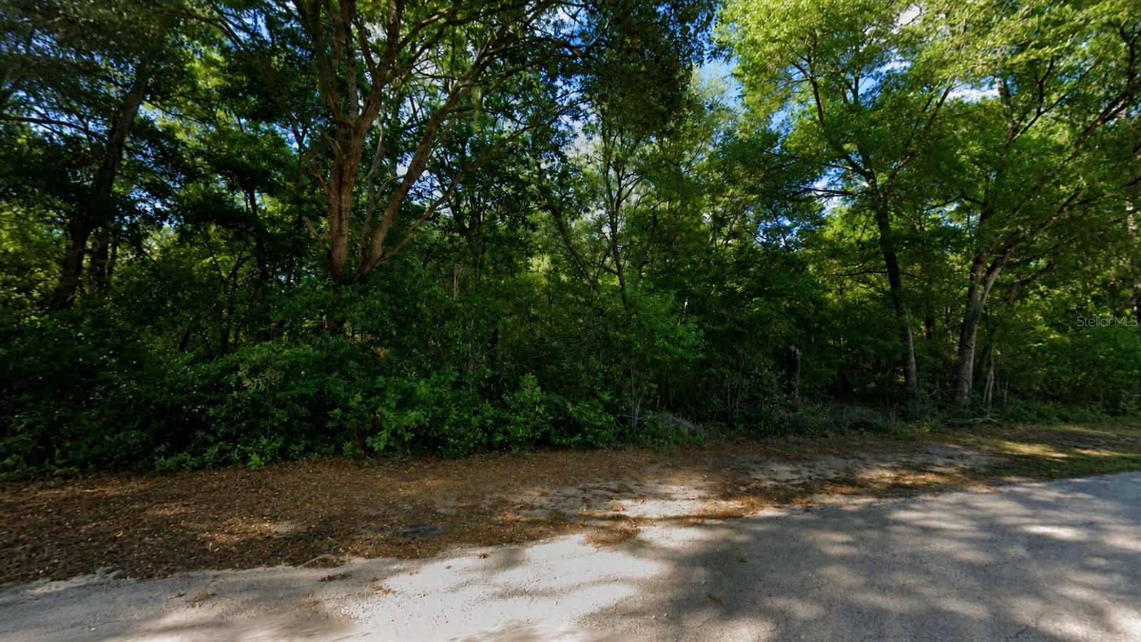 Photo of 3133 E LLOYD ST INVERNESS FL 34453