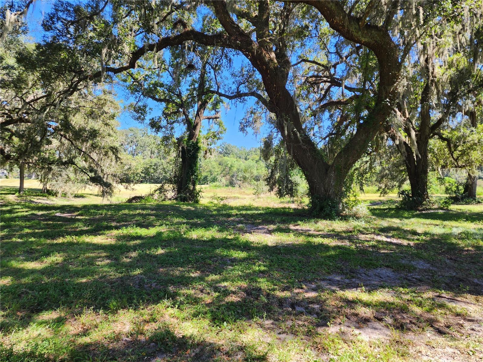 Photo of 7670 NW 137TH AVENUE MORRISTON FL 32668