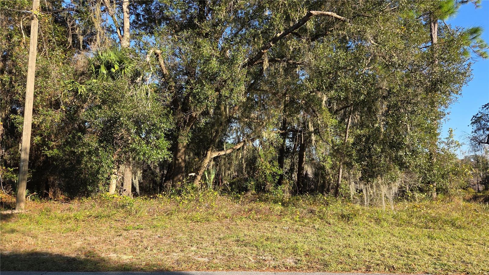 Photo of 3009 PARMA DRIVE DELTONA FL 32738