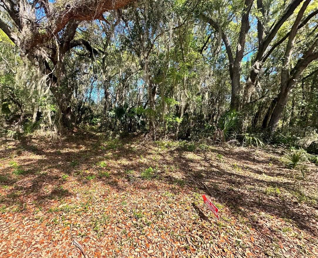 Photo of GUAVA TERRACE OCKLAWAHA FL 32179
