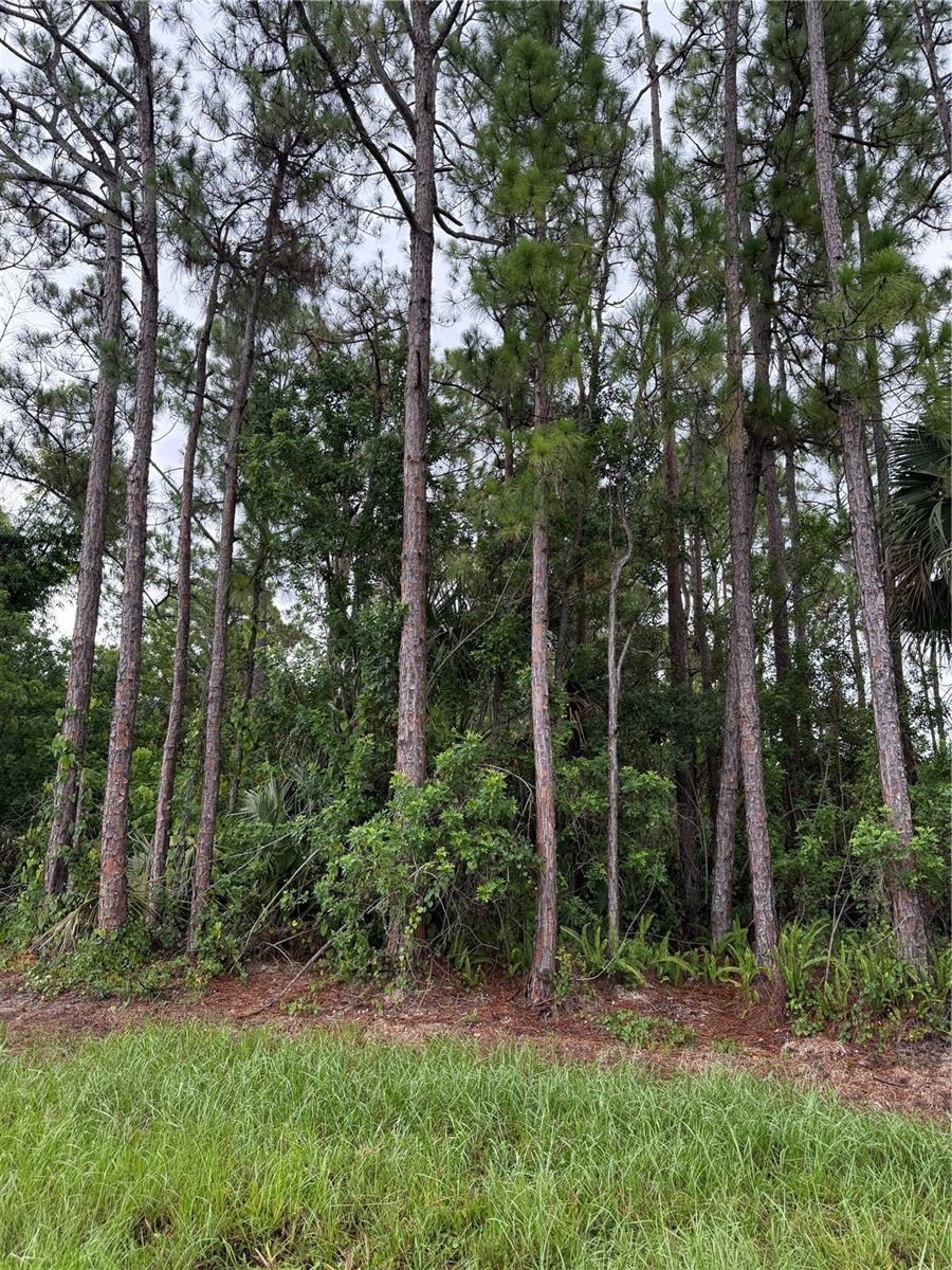 Photo of 2361 SAN FILIPPO DRIVE PALM BAY FL 32909