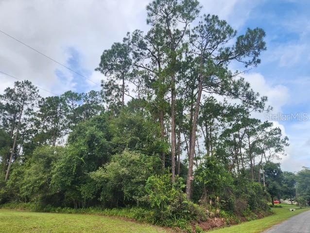 Photo of 14634 HENSON ROAD ORLANDO FL 32832