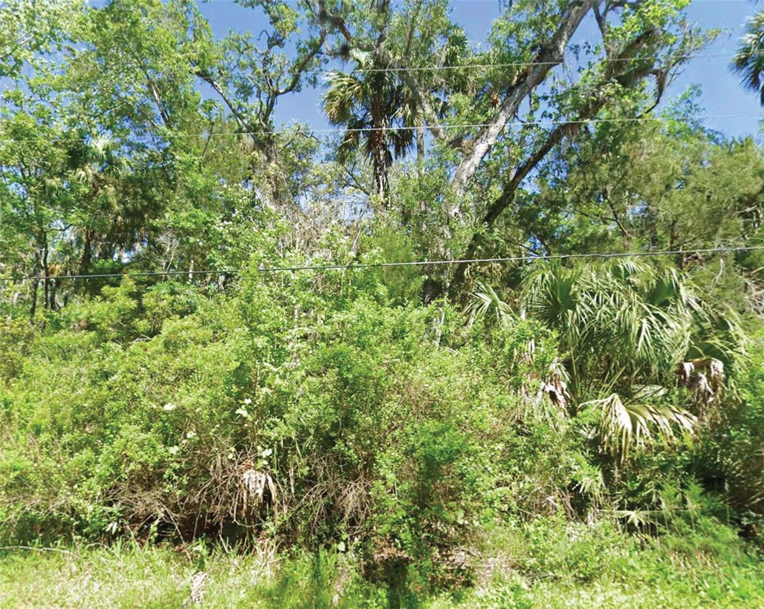 Photo of 10243 W PALMETTO STREET HOMOSASSA FL 34448