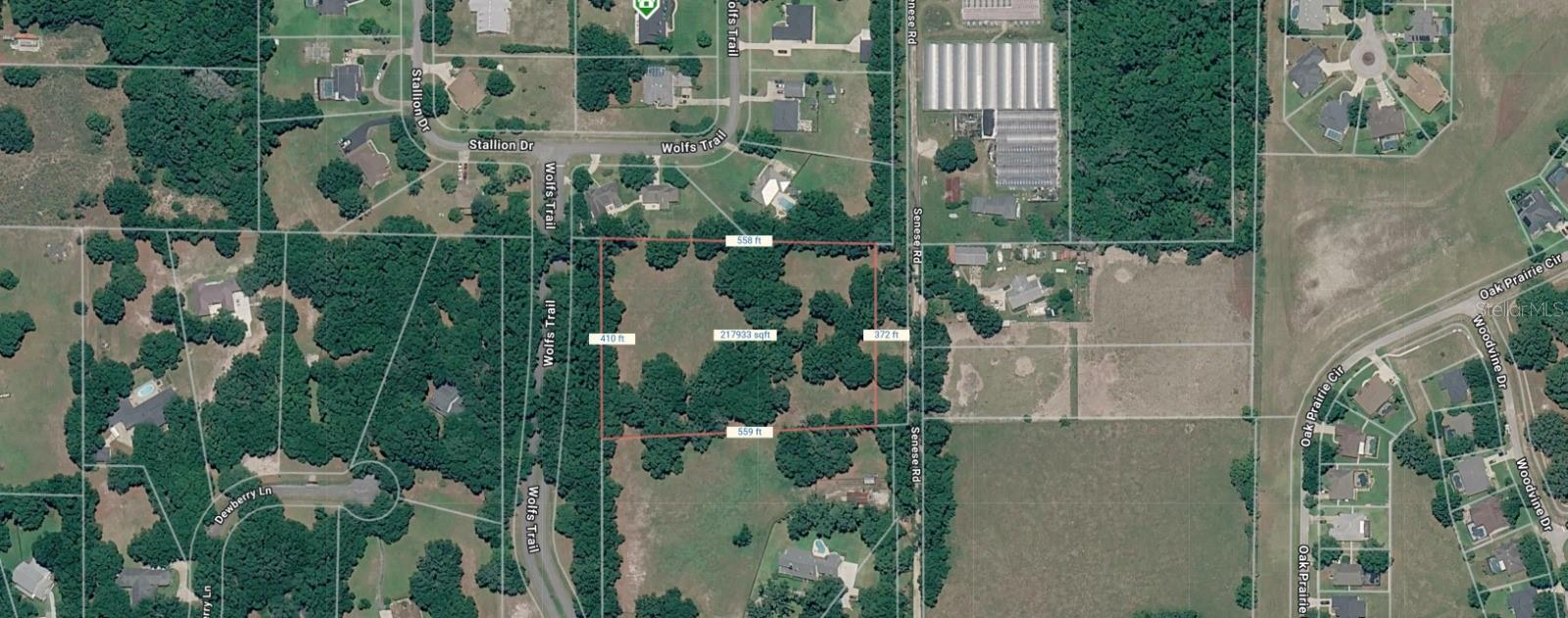 Photo of SENESE ROAD SORRENTO FL 32776
