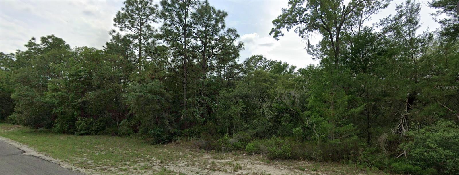 Photo of 0 SW 151 PLACE DUNNELLON FL 34432
