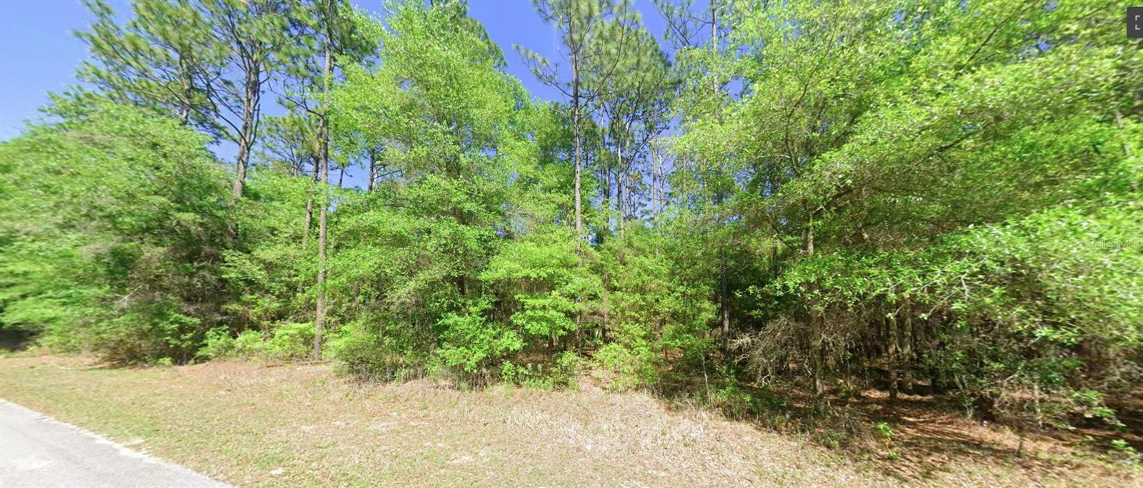 Photo of 0 SW 201 STREET DUNNELLON FL 34431