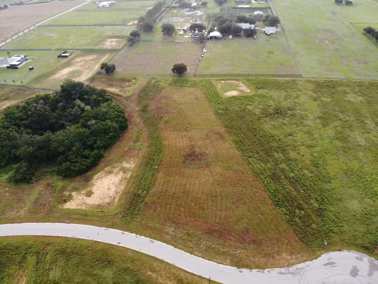 Photo of 10023 WHITE EGRET DRIVE THONOTOSASSA FL 33592