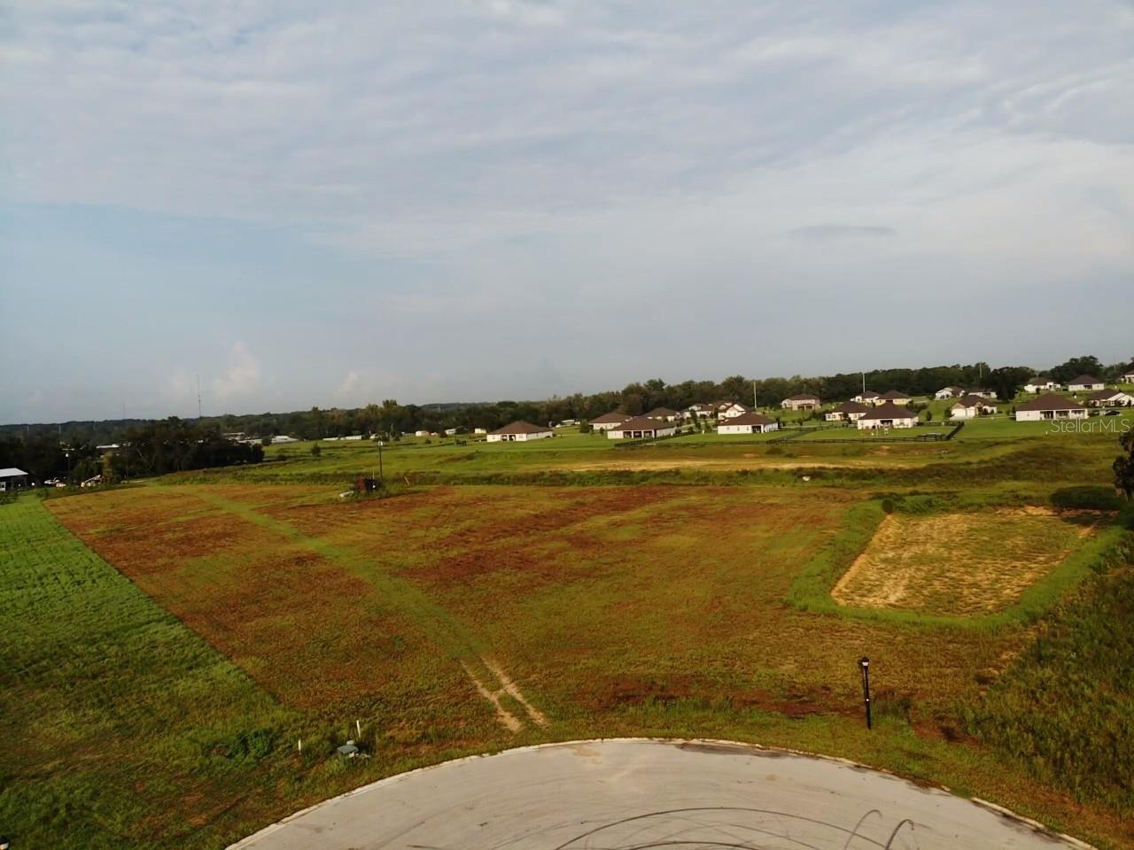 Photo of 10016 WHITE EGRET DRIVE THONOTOSASSA FL 33592