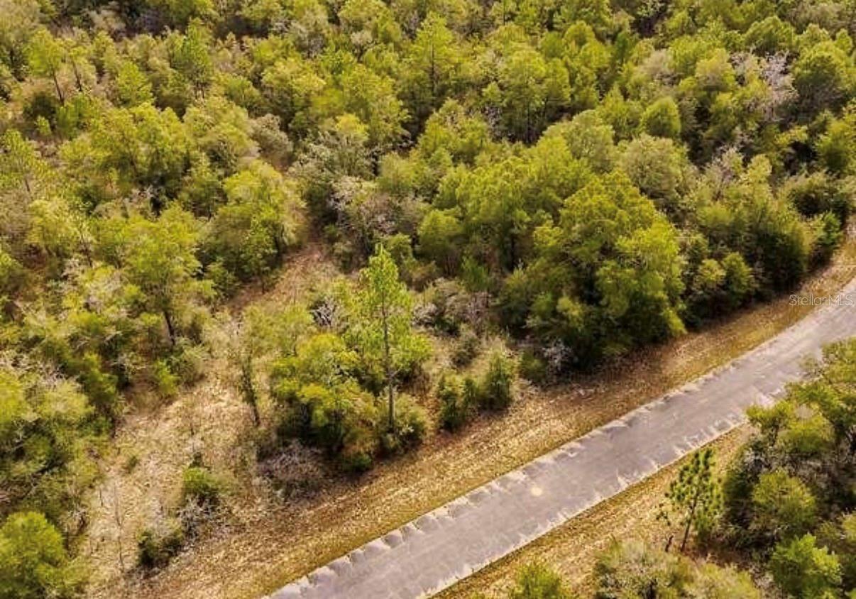 Photo of lot #41 DANDELION DRIVE CHIPLEY FL 32428