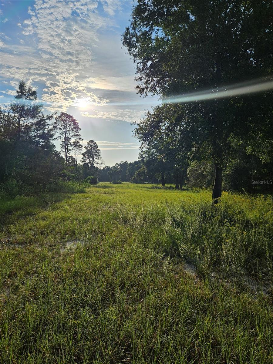 Photo of SNOW HILL RD ROAD GENEVA FL 32732