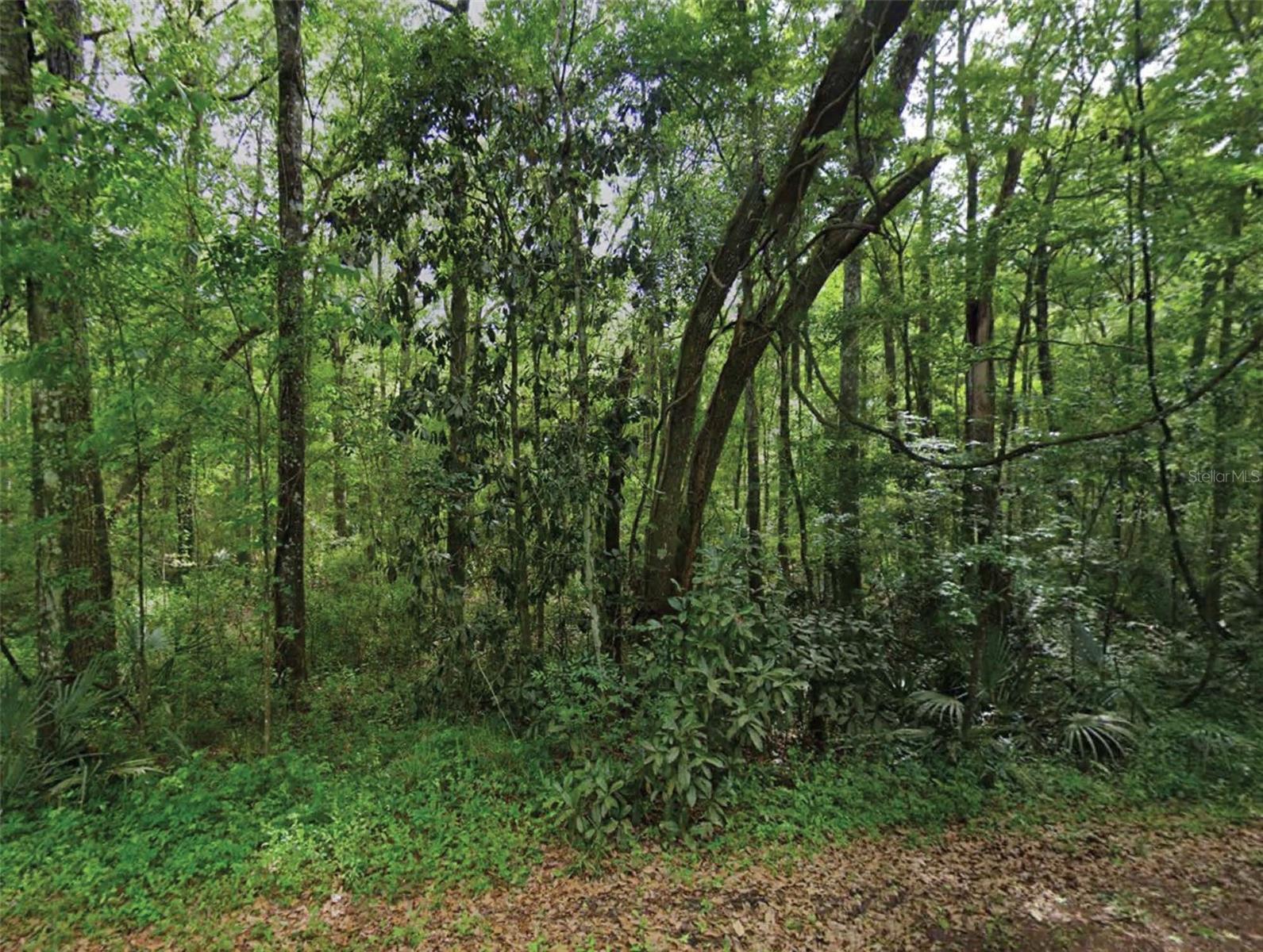 Photo of SCENIC DRIVE MIDDLEBURG FL 32068