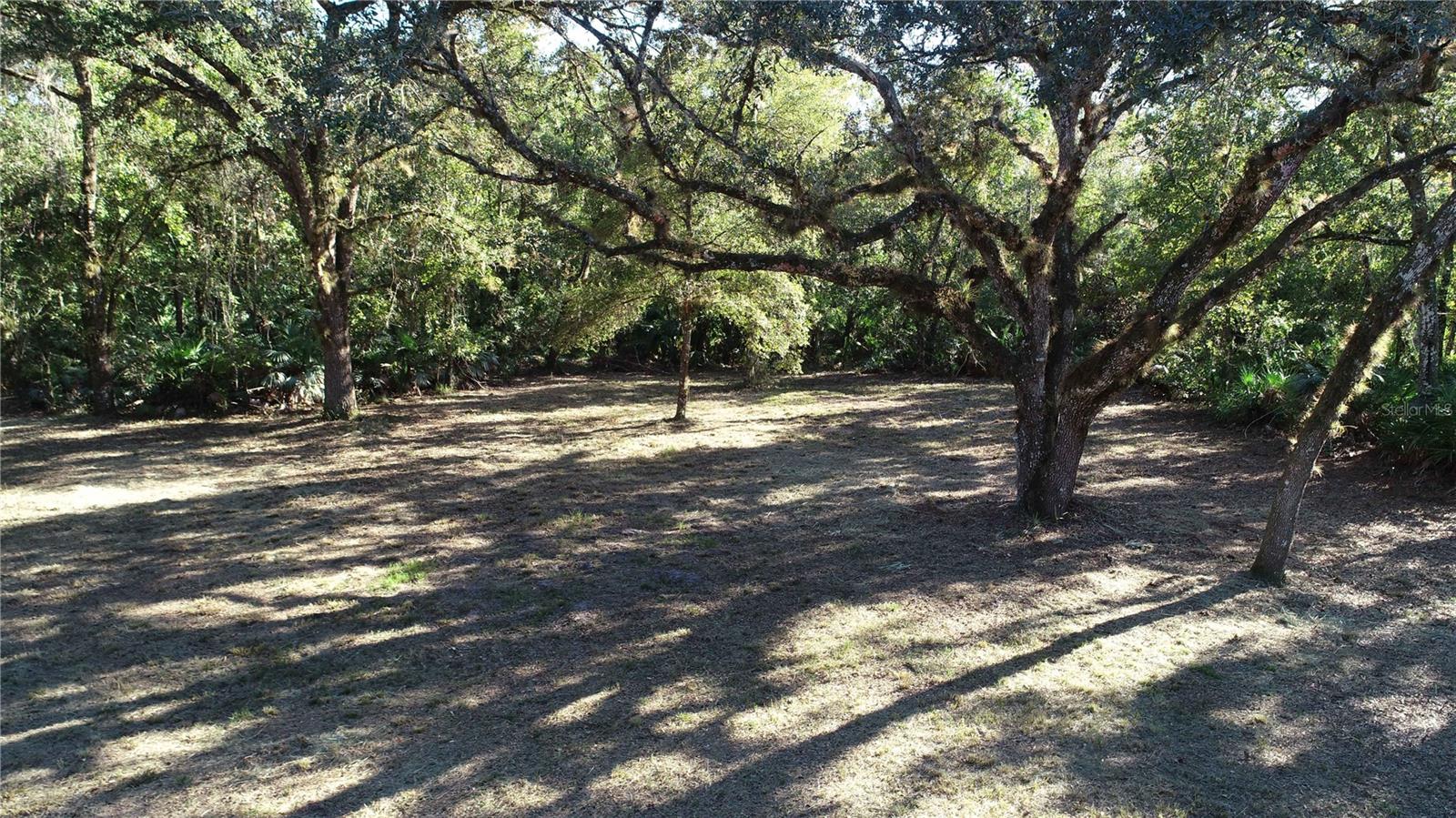 Photo of S COUNTY ROAD 13 ORLANDO FL 32833