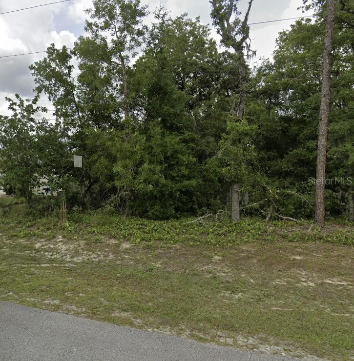 Photo of Lot 4 SW 155 PLACE OCALA FL 34473