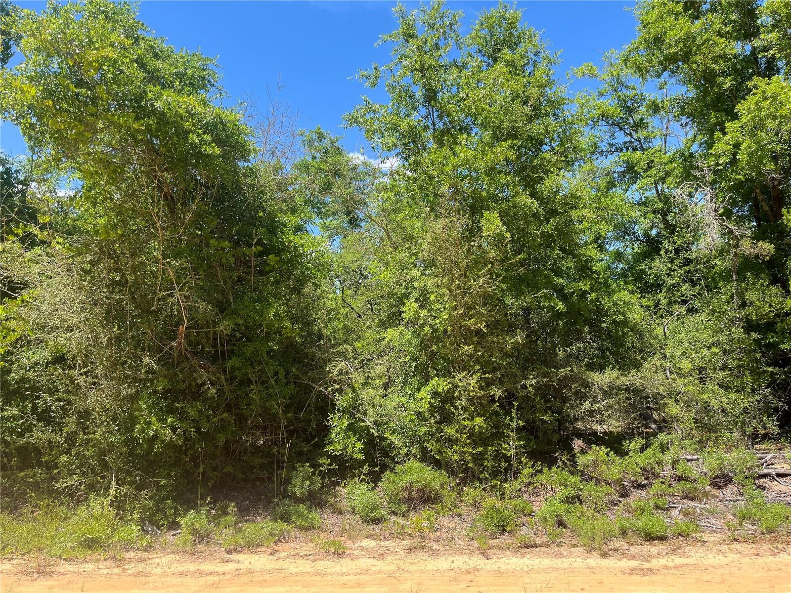Photo of HOCKING STREET ALFORD FL 32420