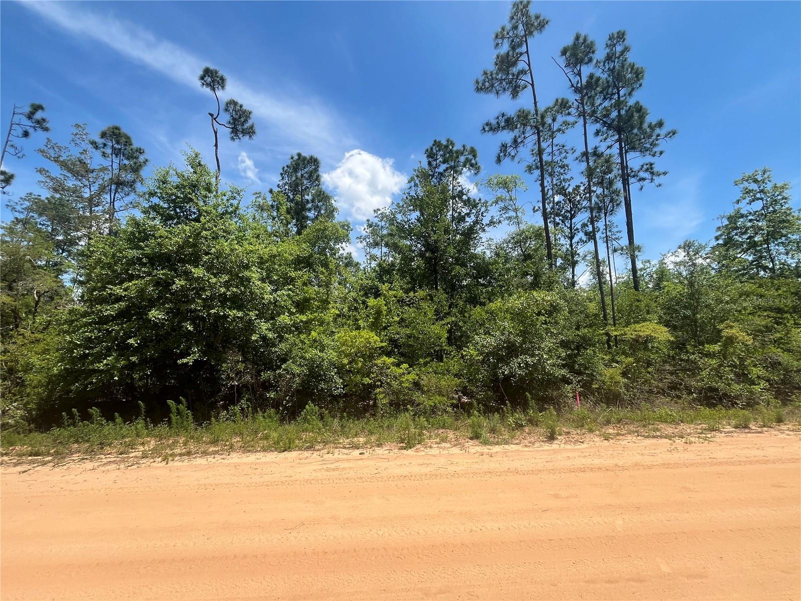 Photo of TAMARAC ROAD MARIANNA FL 32448