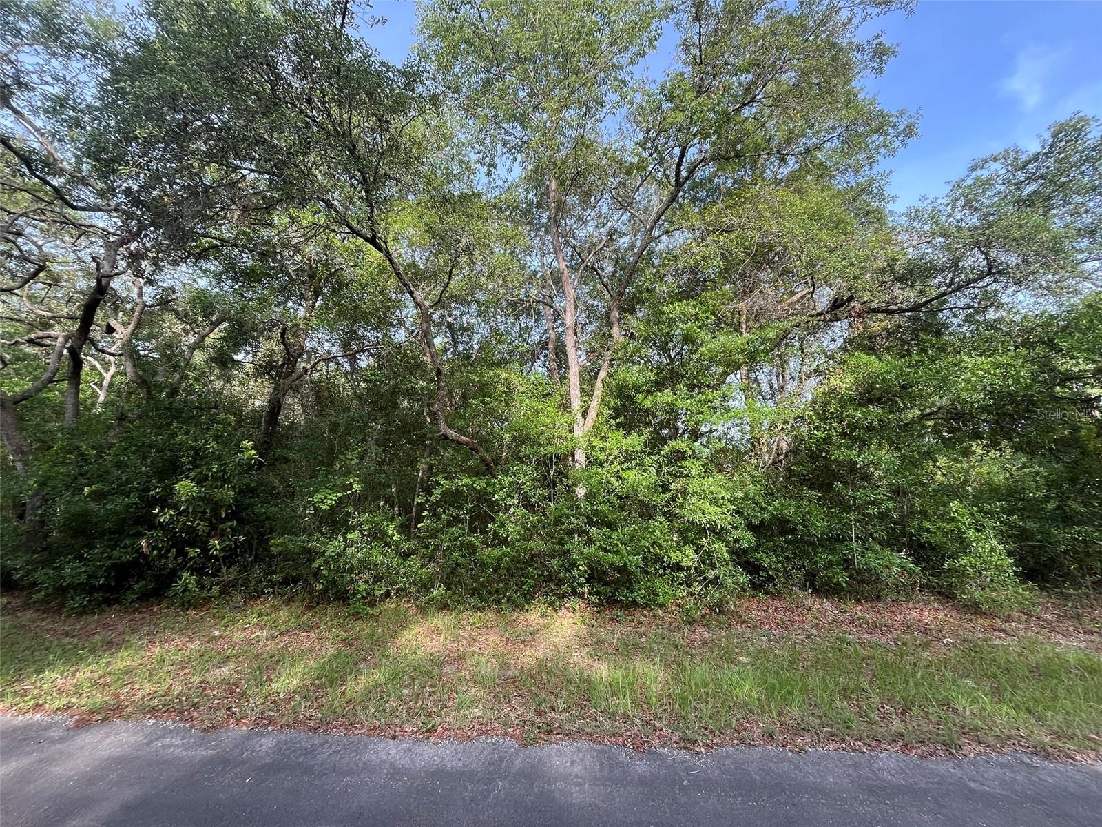 Photo of 6634 N PAGODA TREE TERRACE HERNANDO FL 34442