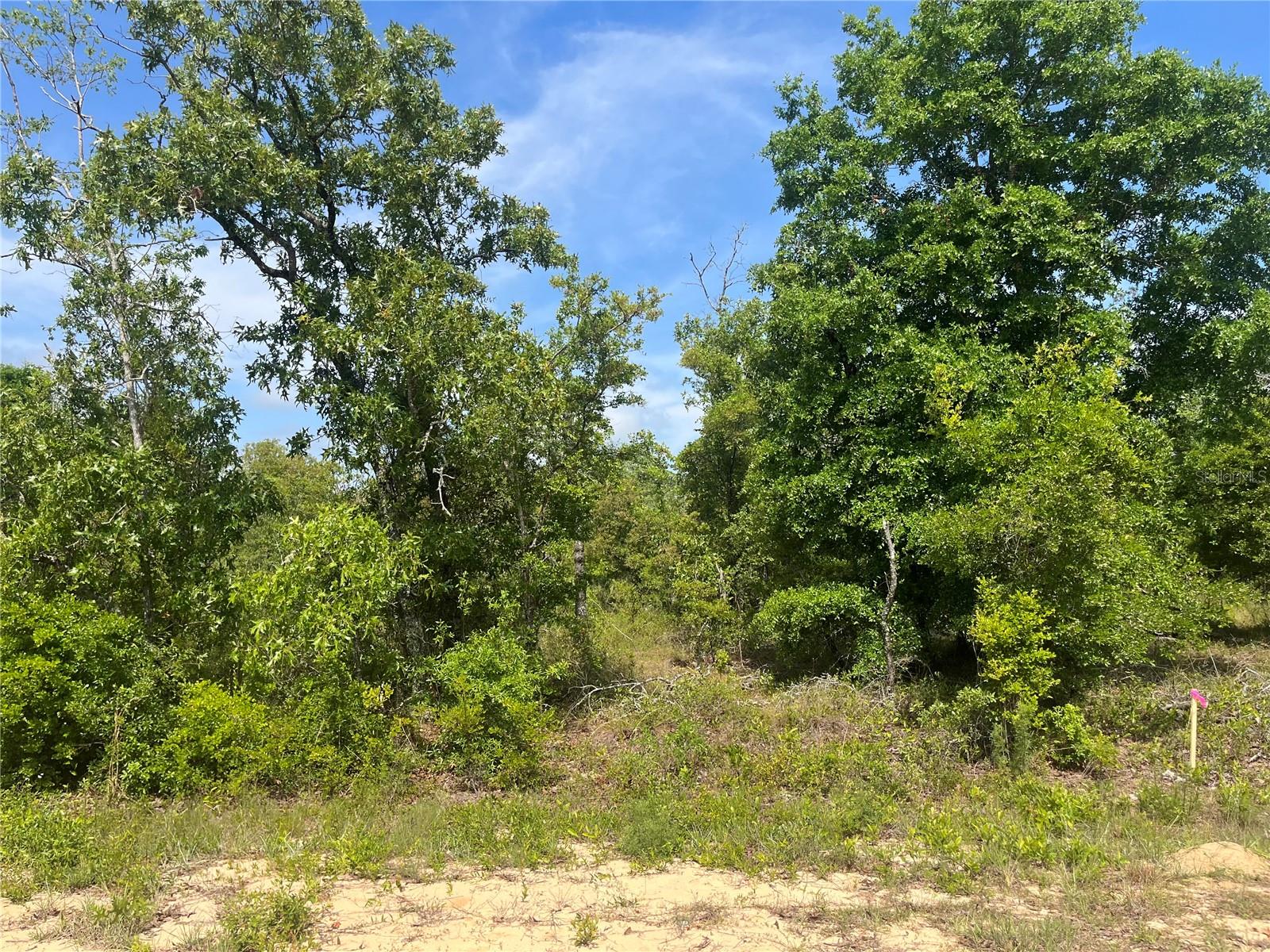 Photo of ROME AVENUE ALFORD FL 32420