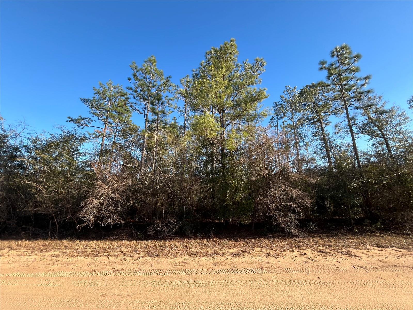 Photo of GOREVILLE AVENUE ALFORD FL 32420
