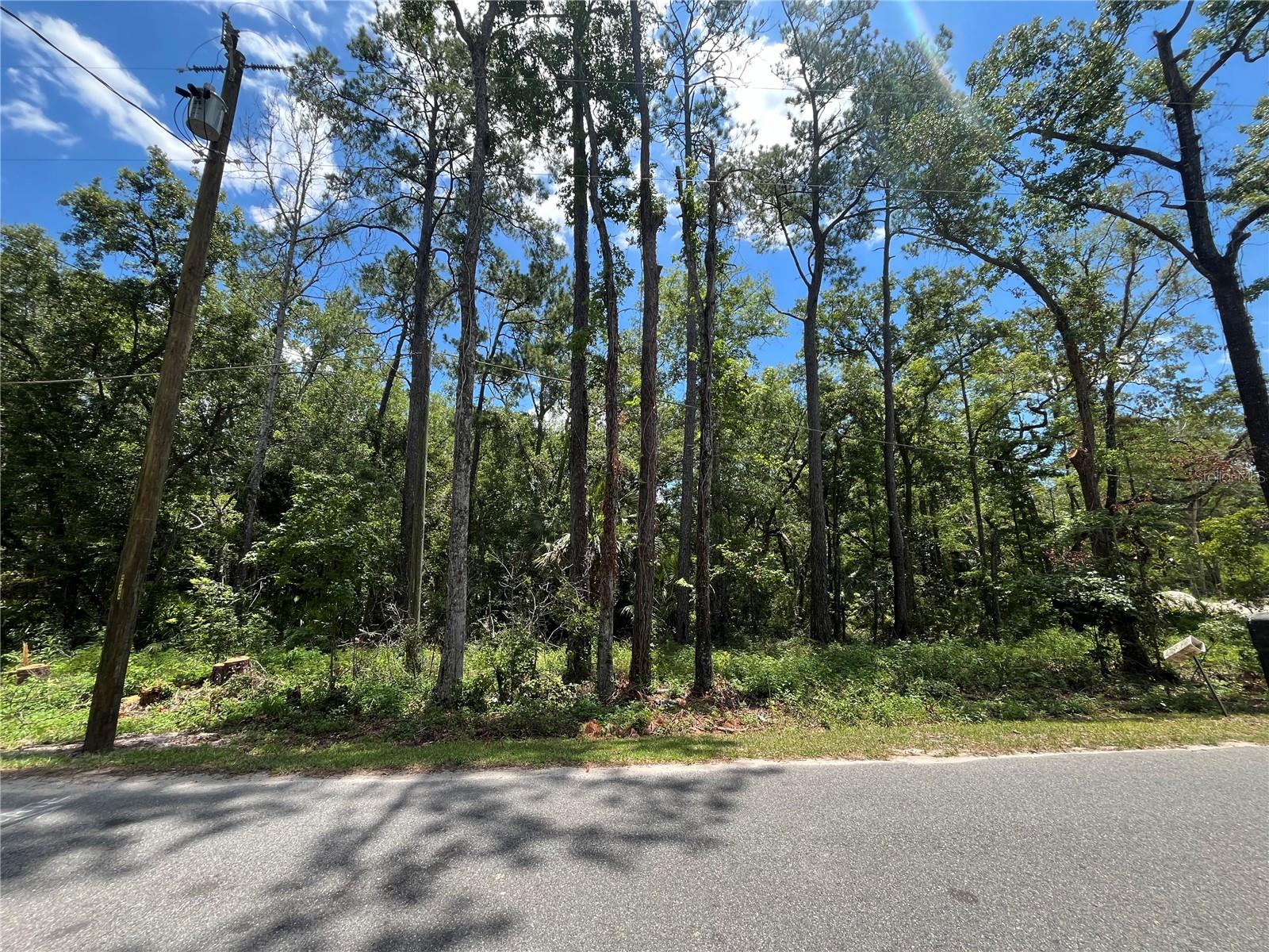Photo of FRANKLIN DRIVE CRAWFORDVILLE FL 32327