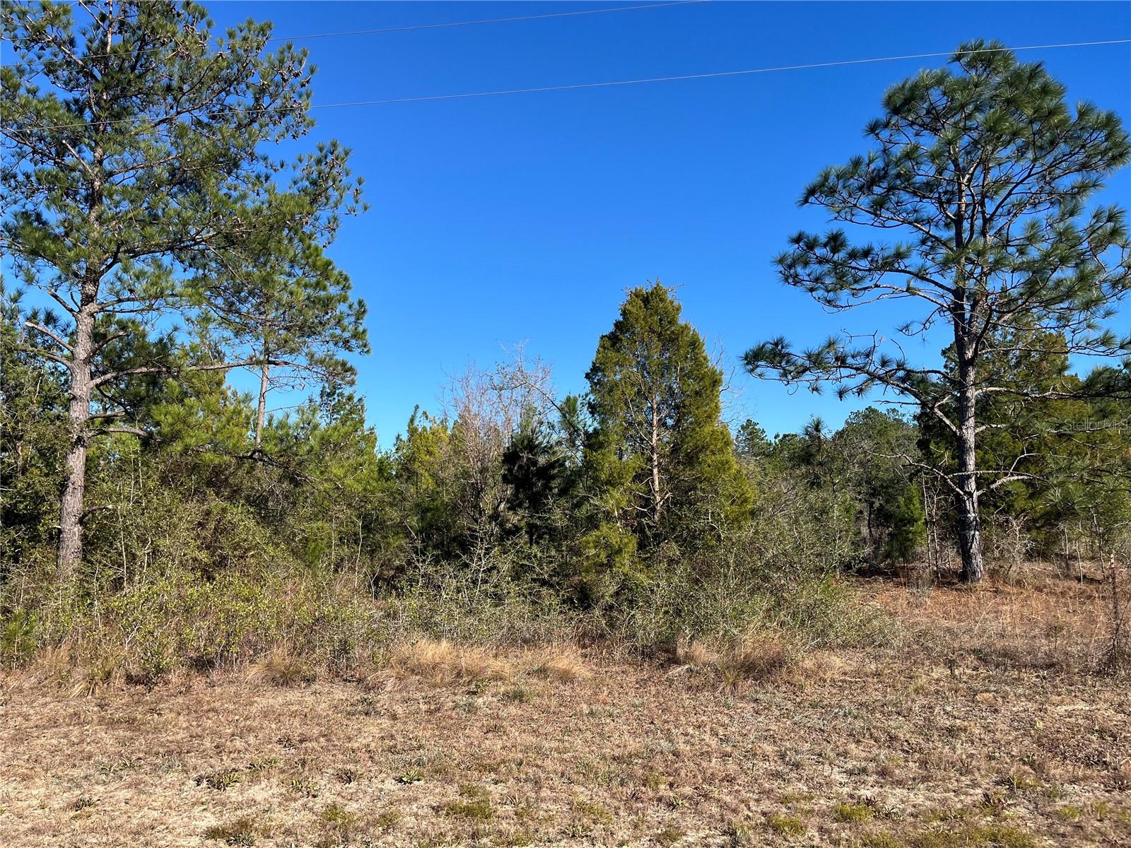 Photo of FAIRVIEW ROAD MARIANNA FL 32448