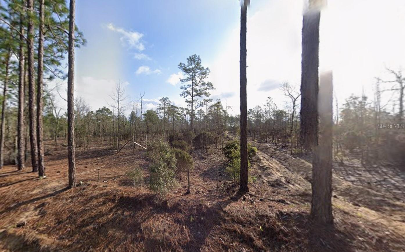 Photo of 116 TULIP AVENUE INTERLACHEN FL 32148