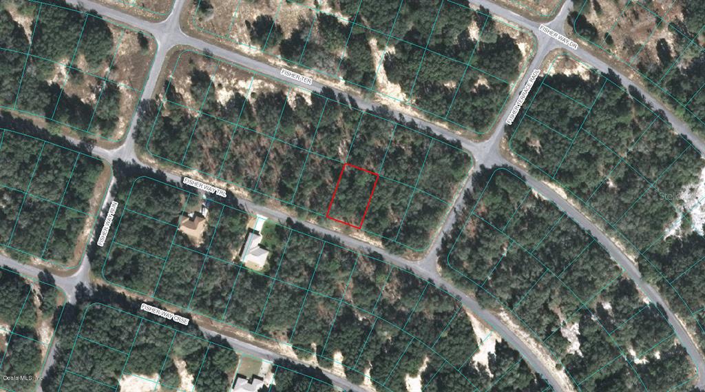 Photo of 00 FISHER WAY TRAIL OCKLAWAHA FL 32179