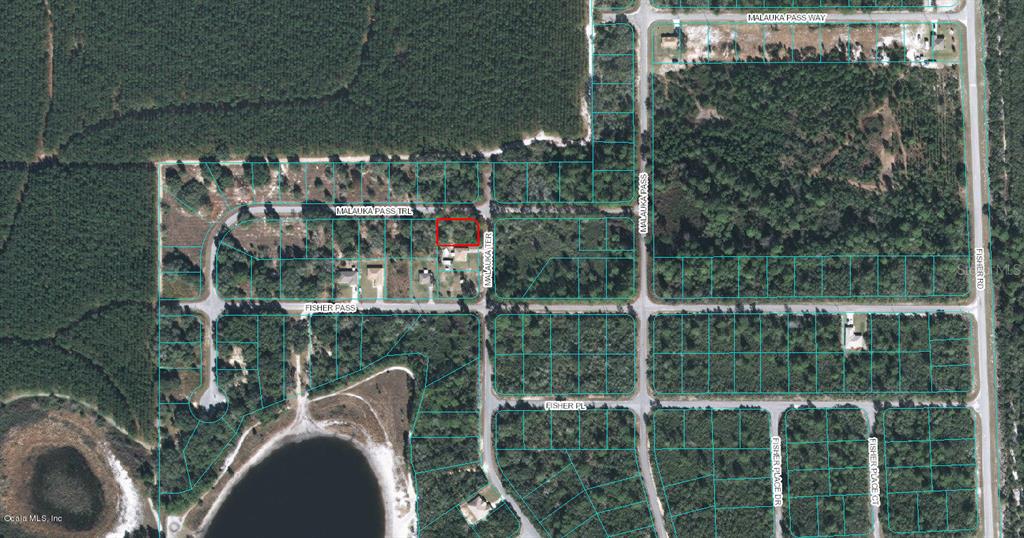 Photo of 00 MALAUKA TERRACE OCKLAWAHA FL 32179