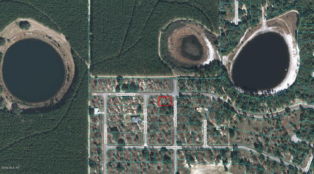 Photo of 00 MALAUKA TRAIL COURSE OCKLAWAHA FL 32179