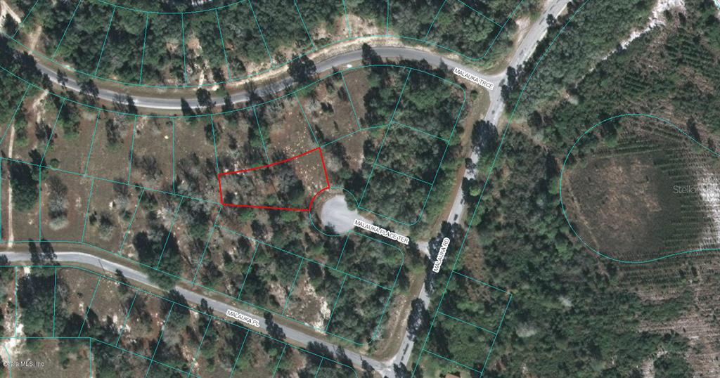 Photo of 00 MALAUKA PLACE TERRACE OCKLAWAHA FL 32179