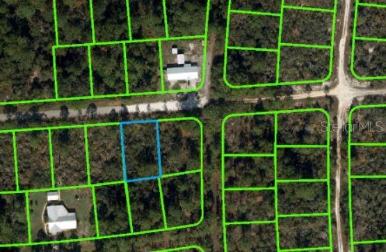 Photo of 239 ELEANOR BOULEVARD LAKE PLACID FL 33852
