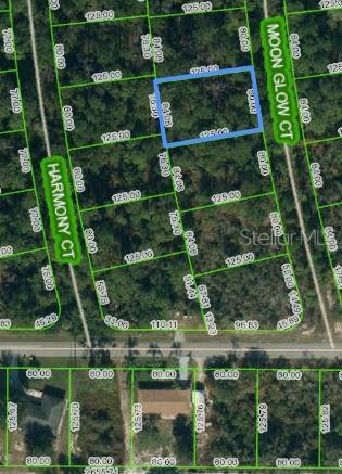Photo of 216 MOON GLOW COURT LAKE PLACID FL 33852