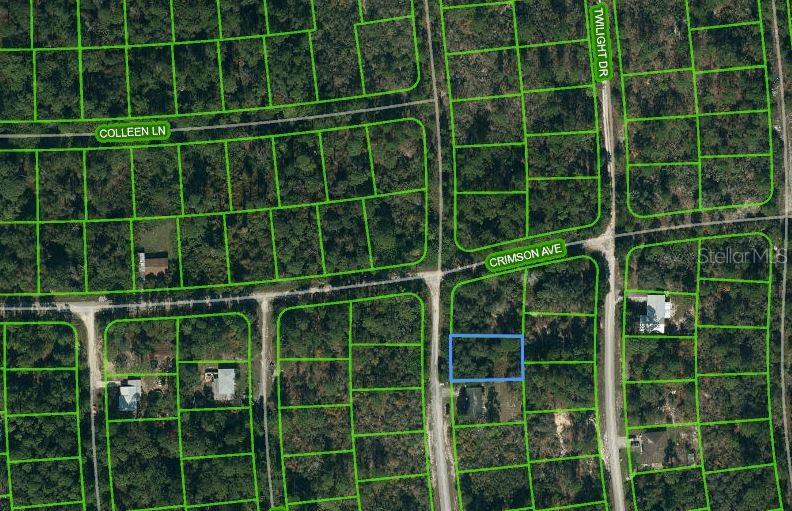 Photo of 233 DREAMERS DRIVE LAKE PLACID FL 33852
