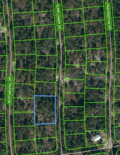 Photo of 244 SUNFLOWER DRIVE LAKE PLACID FL 33852