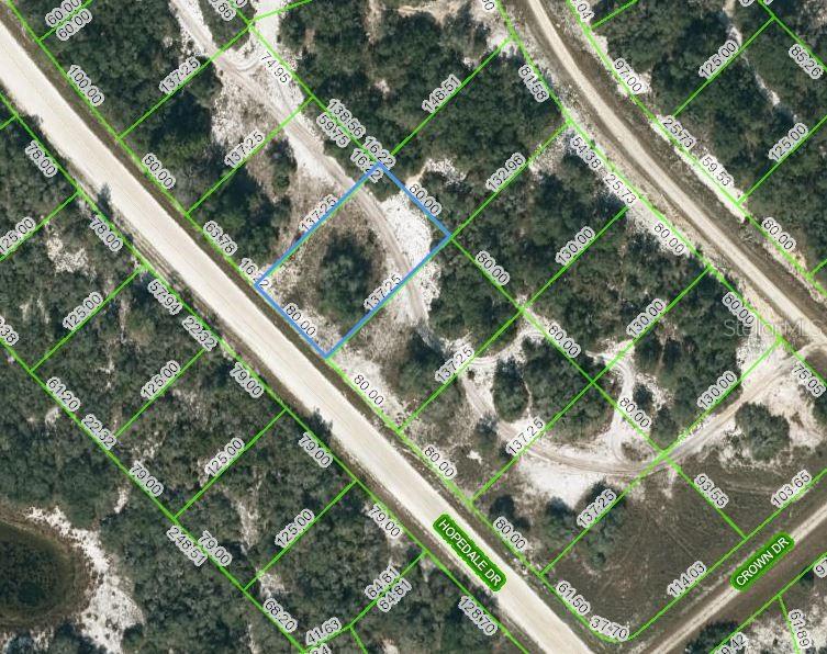 Photo of 269 HOPEDALE DRIVE LAKE PLACID FL 33852
