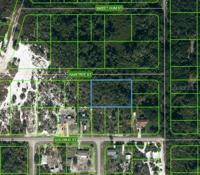 Photo of 1515 RAINTREE STREET LAKE PLACID FL 33852