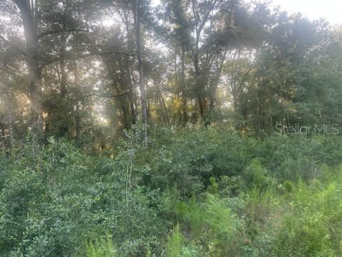 Photo of Lots 2 & 3 SW 156 AVENUE OCALA FL 34481