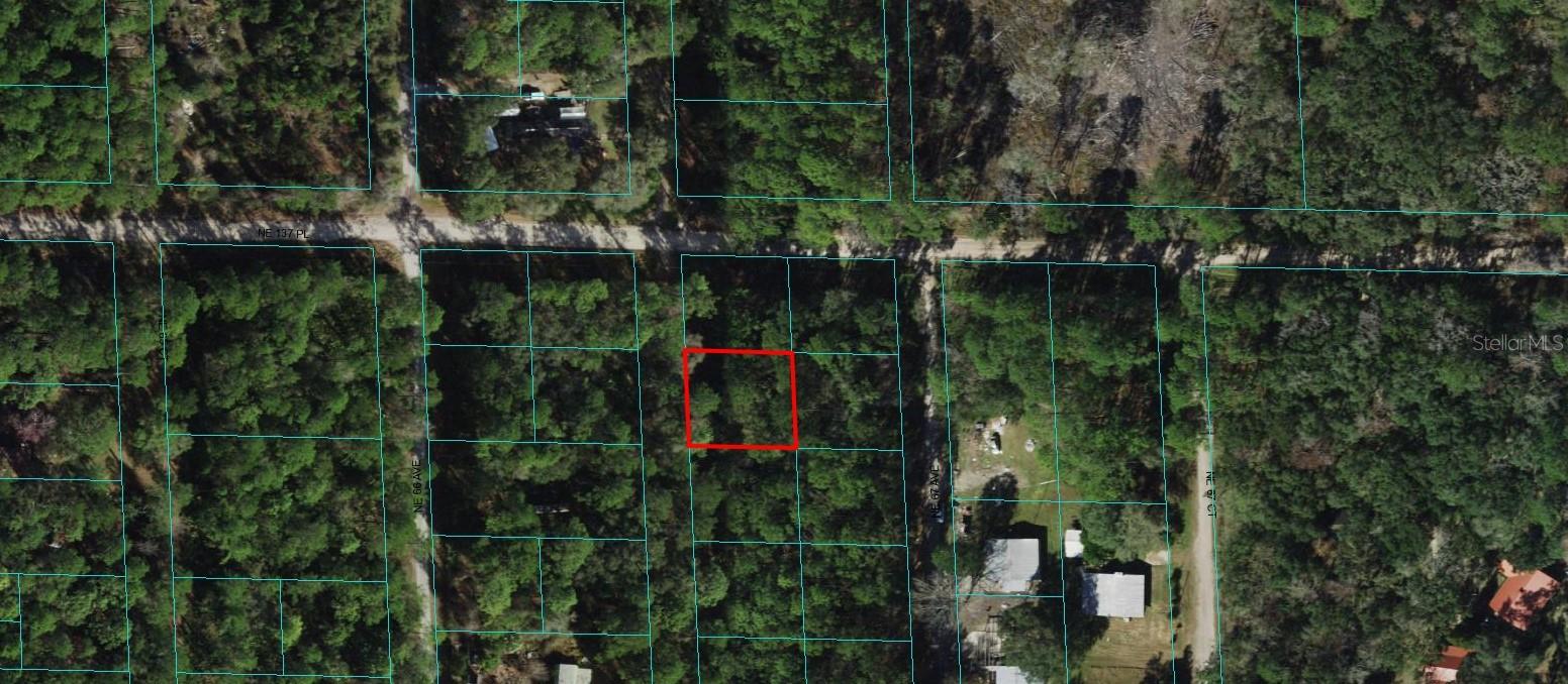 Photo of 00 NE 66TH COURT CITRA FL 32113