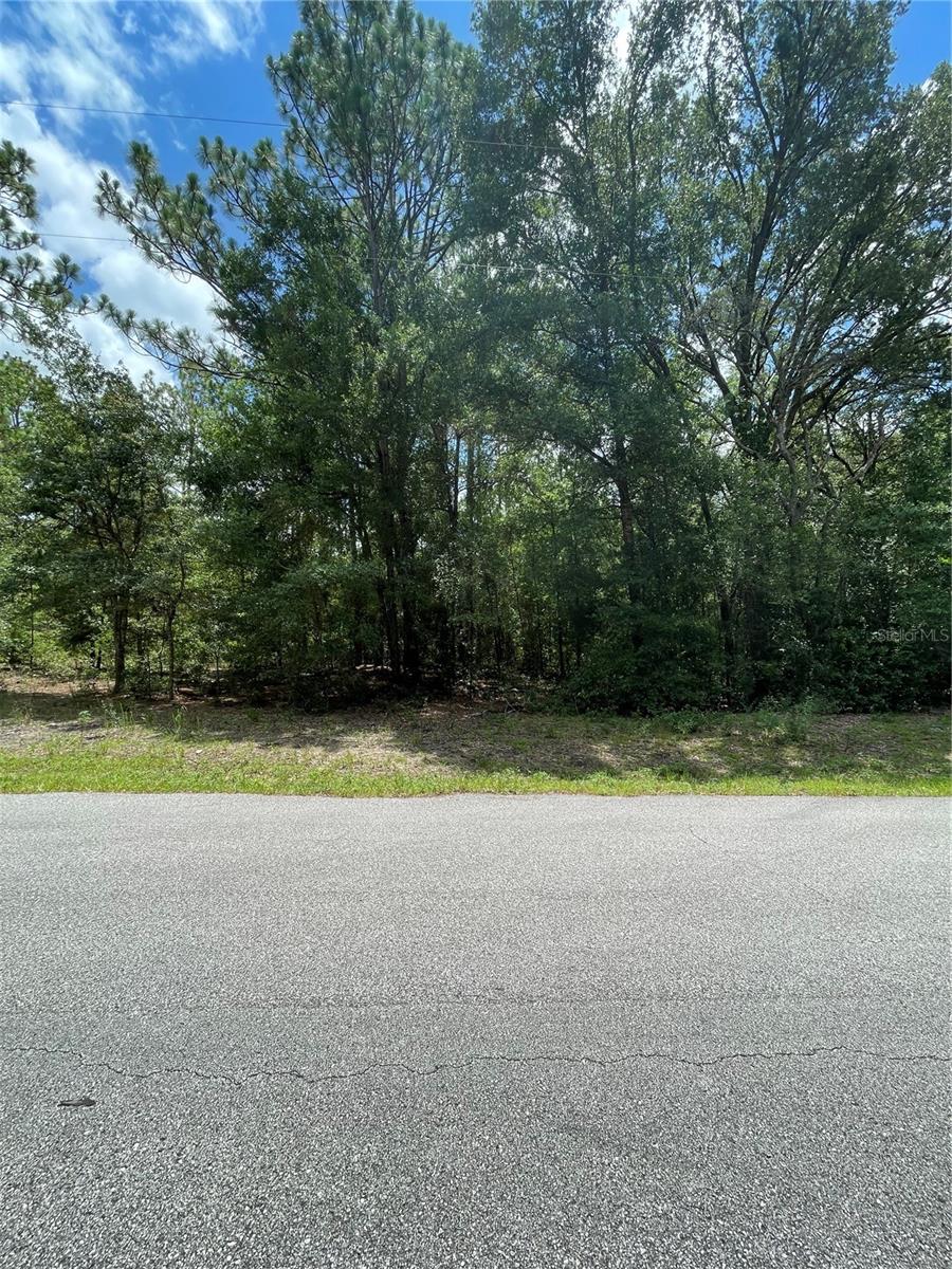 Photo of TBD SW 59TH LANE DUNNELLON FL 34431