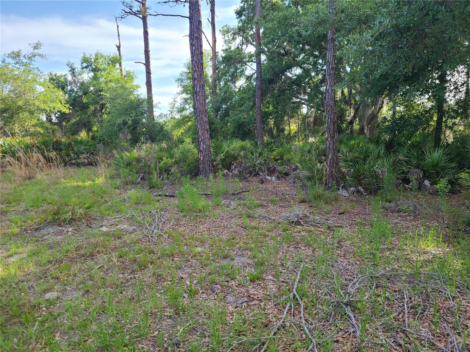 Photo of 8436 N ERIN DRIVE CRYSTAL RIVER FL 34428